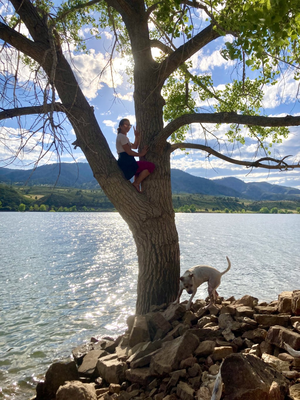 “What’s next?”