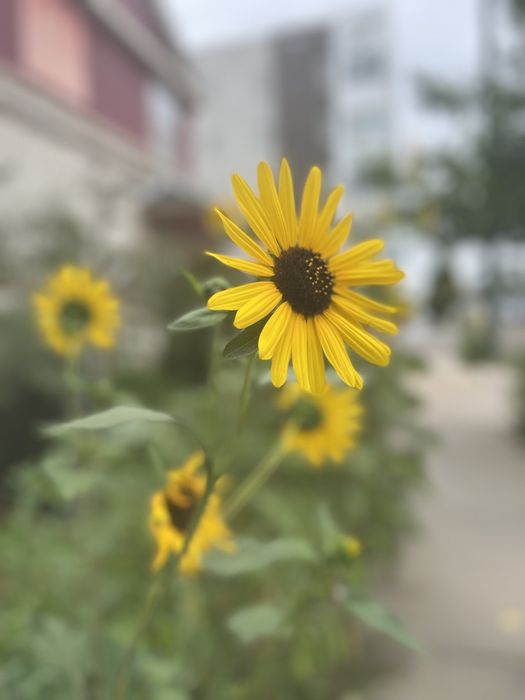 reflecting, one year post-“What’s Next?”