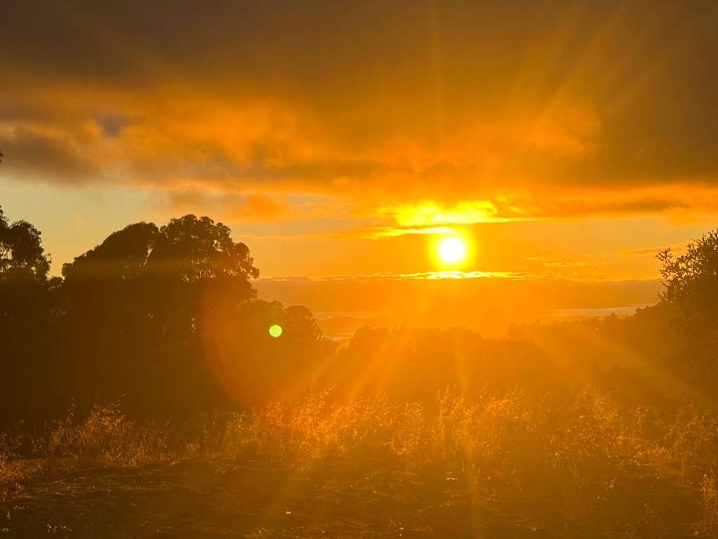 “Why suicide, if you don’t mind me asking?” Let’s talk about&nbsp;it.