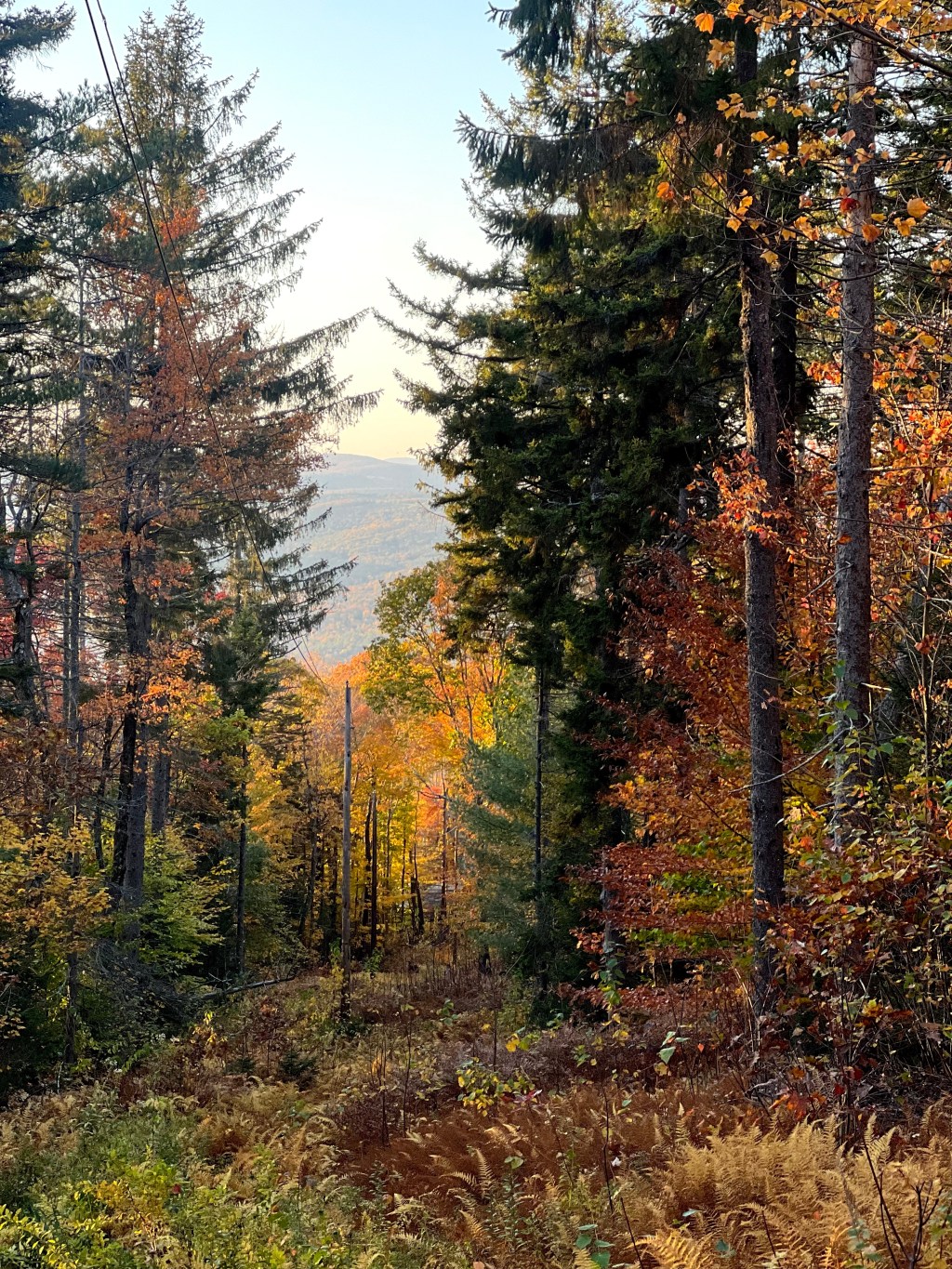 The dignity of&nbsp;discomfort